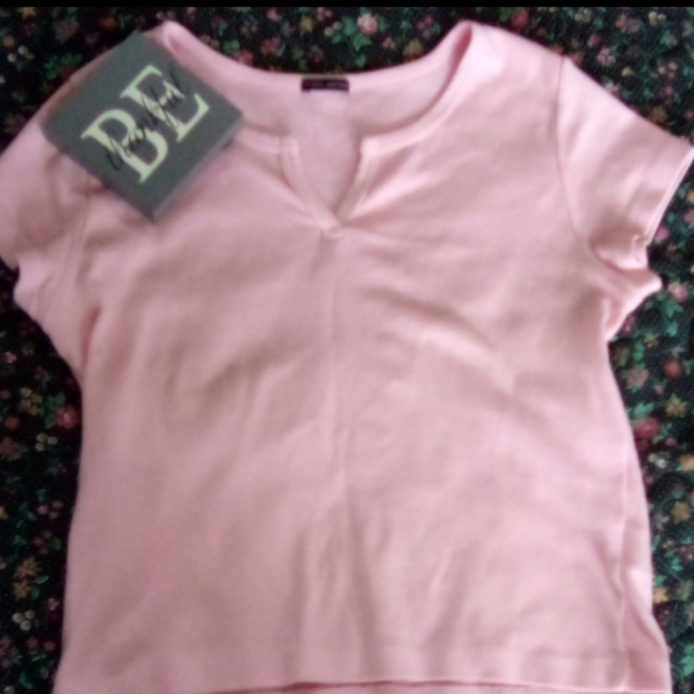 Brandy melville pink crop top